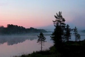 halsingegarden.se